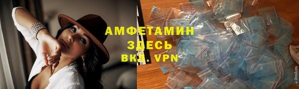 ПСИЛОЦИБИНОВЫЕ ГРИБЫ Богданович