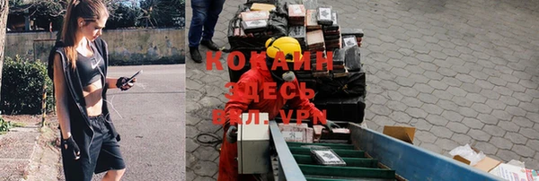 сатива Приозерск