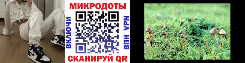 Галлюциногенные грибы прущие грибы  Вольск 